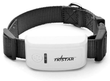 TK-STAR ошейник для прогулки универсальный черный