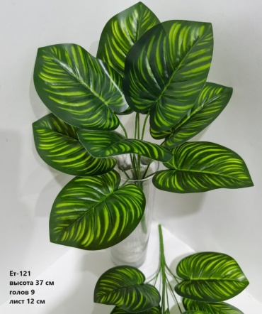 Фото 2