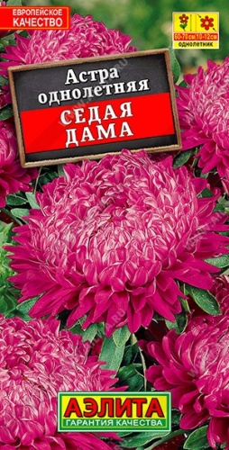 Аэлита астра Седая дама