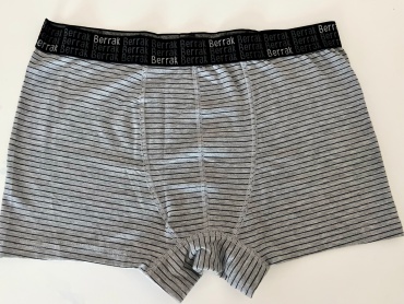 Боксеры Berrak collection серый