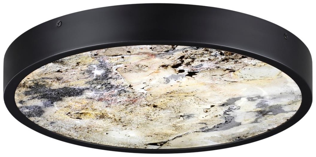 Светильник настенно-потолочный Odeon Light LED 24 Вт черный