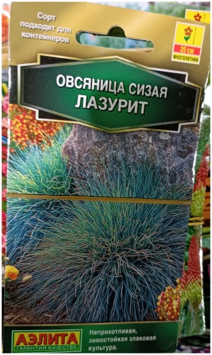 Аэлита кларкия Овсяница сизая Лазурит