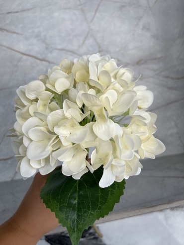 Фото 6