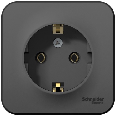 Розетка Schneider Electric BLNRA010116, черный