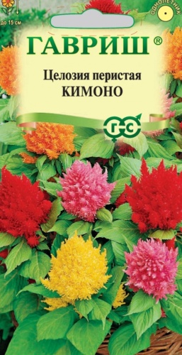 Гавриш целозия Кимоно
