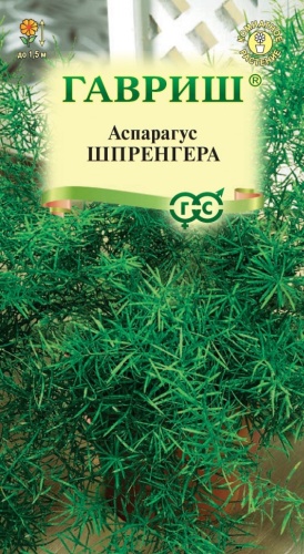 Гавриш злаки Аспарагус Шпренгера