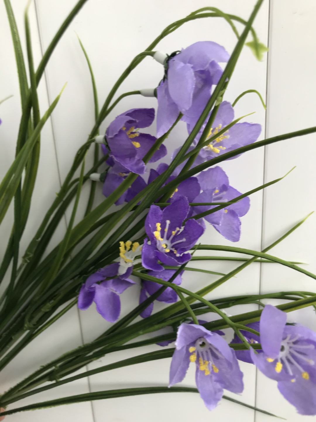 Фото 2
