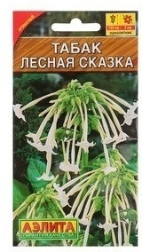 Аэлита табак душистый Лесная сказка