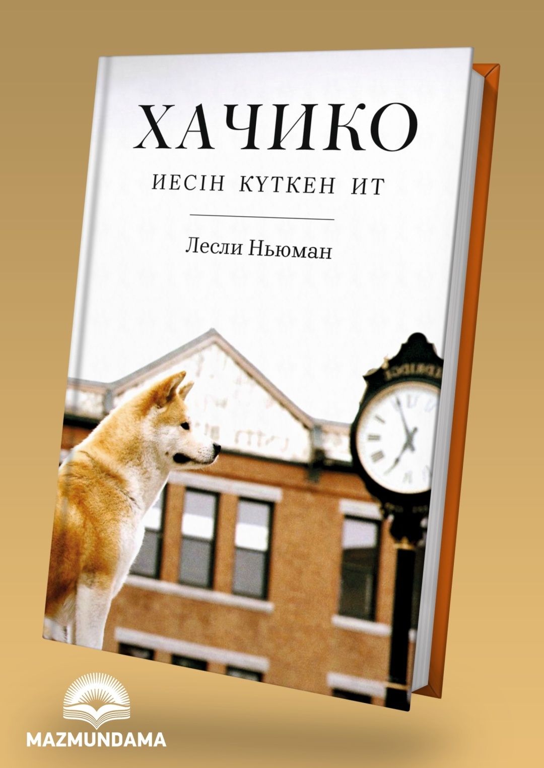 Галя Рогозина секс STS сериясындағы порно актриса