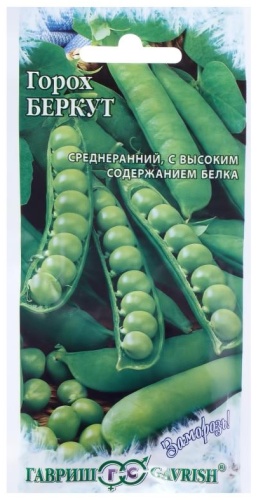 Гавриш горох Беркут