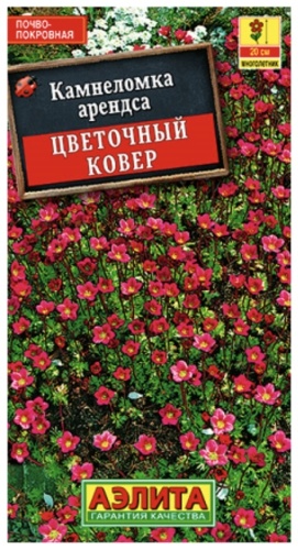 Аэлита Камнеломка арендса Цветочный ковер