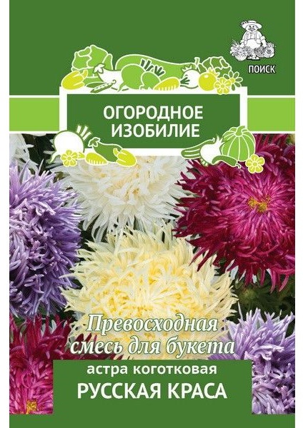 Поиск астра Русская краса