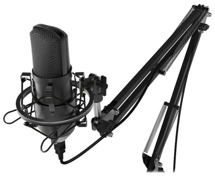 Купить Микрофон Ritmix RDM-169 черный в Алматы – Магазин на Kaspi.kz