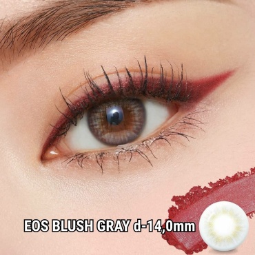 Контактные линзы EOS Blush серый -5 кривизна 8.6 на год 2 шт