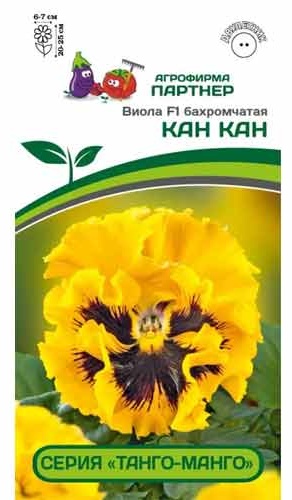 Партнер виола КАН КАН