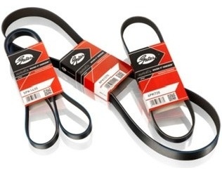 Gates ремень 5PK1570