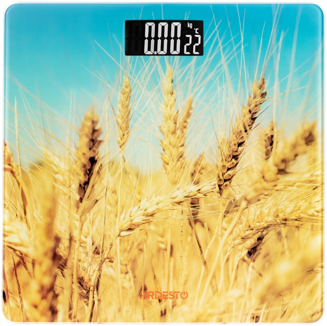 Фото 4