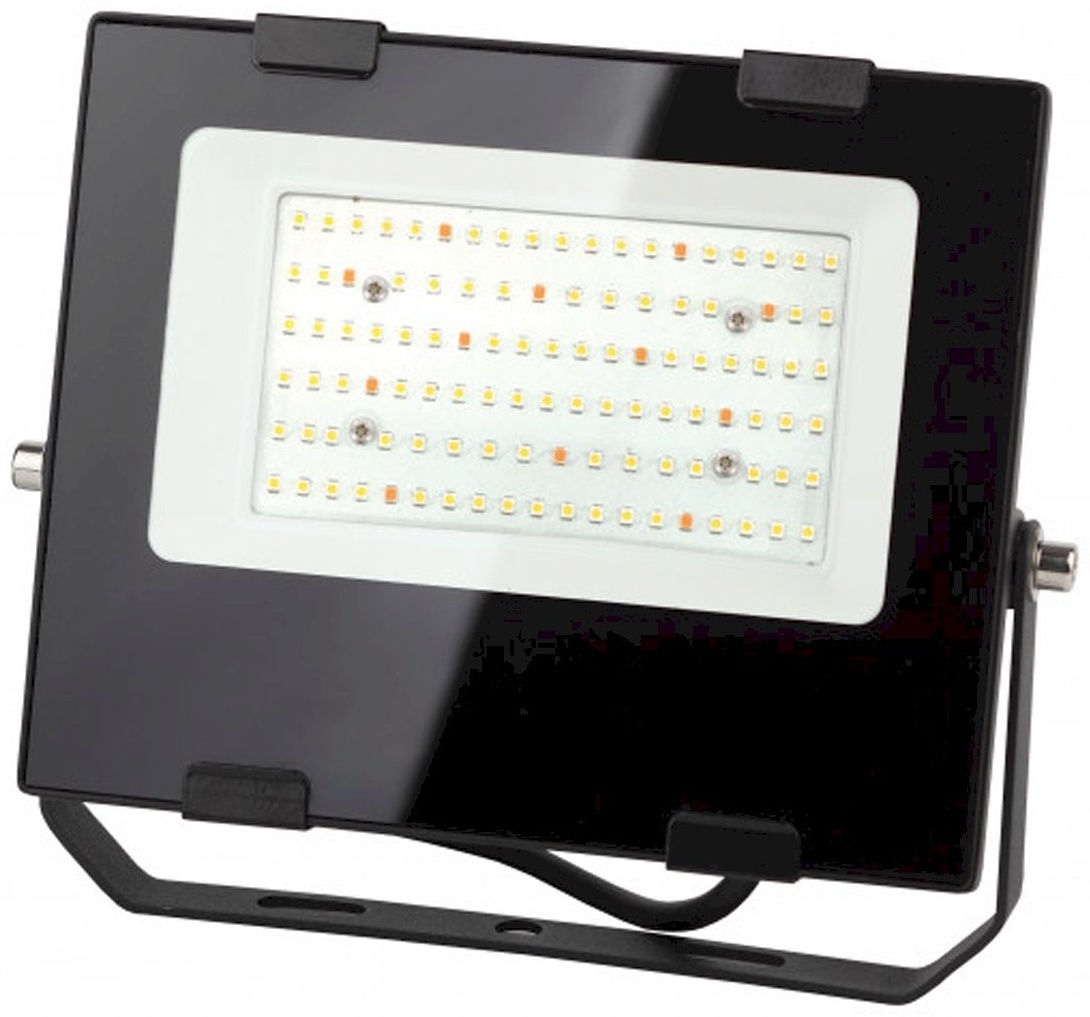 Светодиодная ЭРА FITO-50W-Ra90-LED 50 Вт, 4000 К