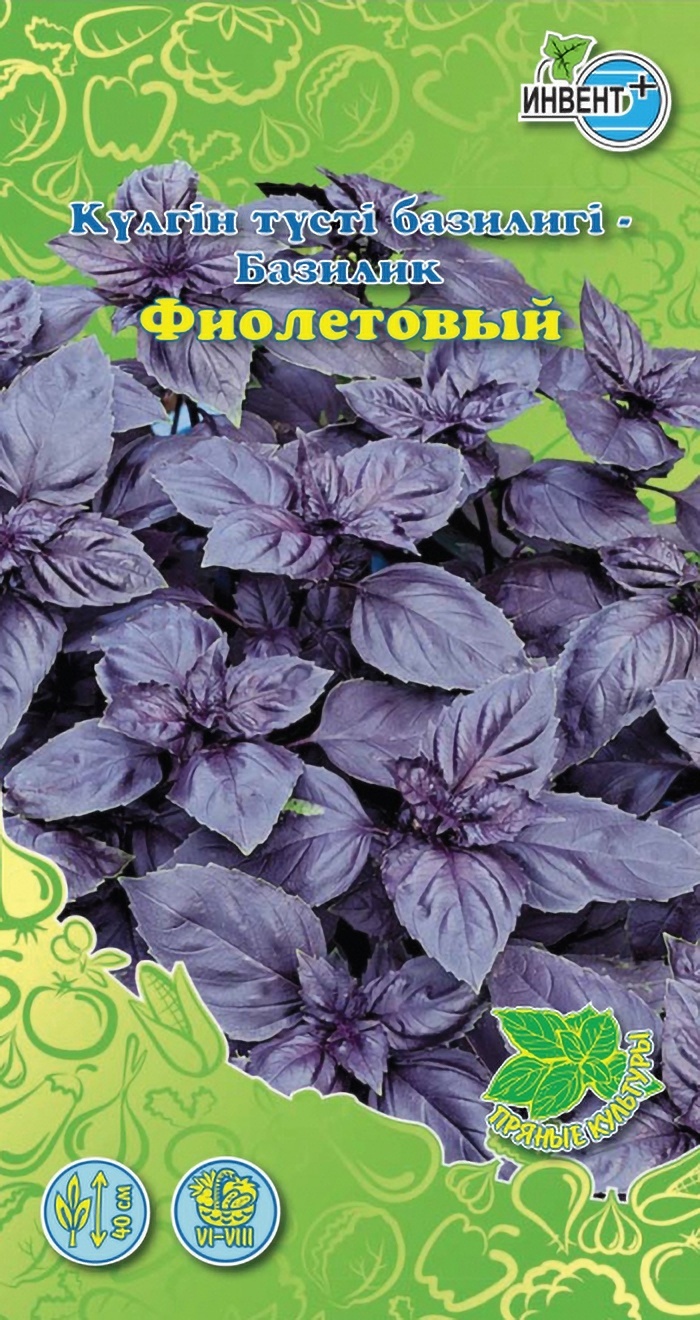 ИНВЕНТ+ базилик Фиолетовый