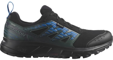 Кроссовки Salomon WANDER GTX зеленый