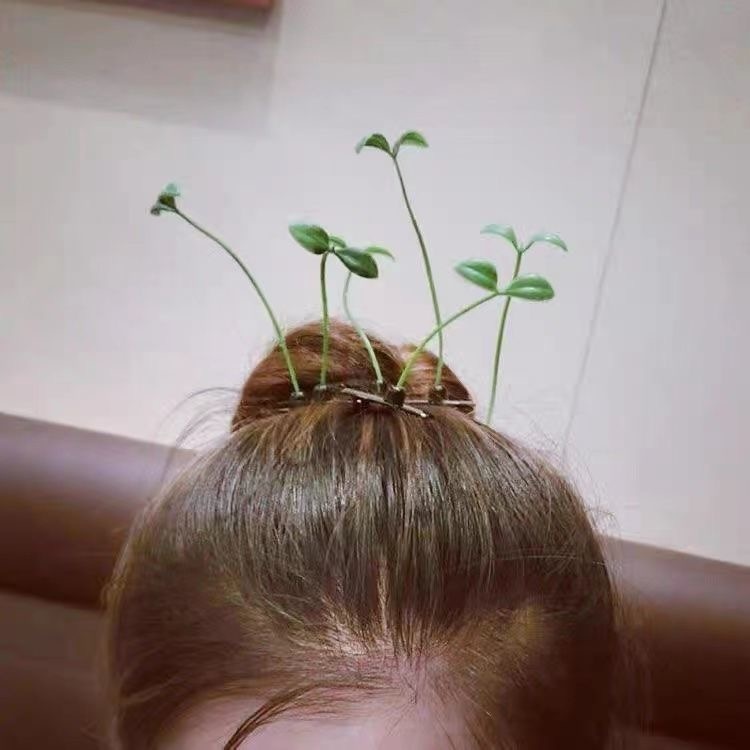 Заколка зажим 5 шт