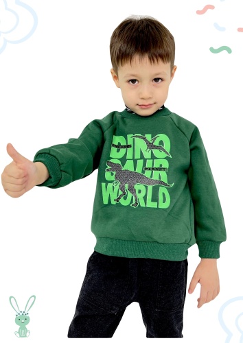 Толстовка WELLKIDS зеленый