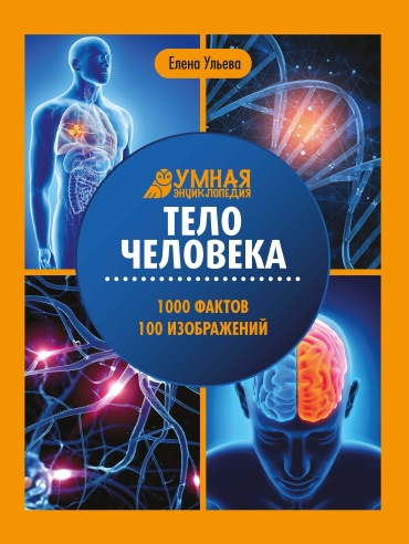 Ульева Елена Александровна: Тело человека: Энциклопедия для детей