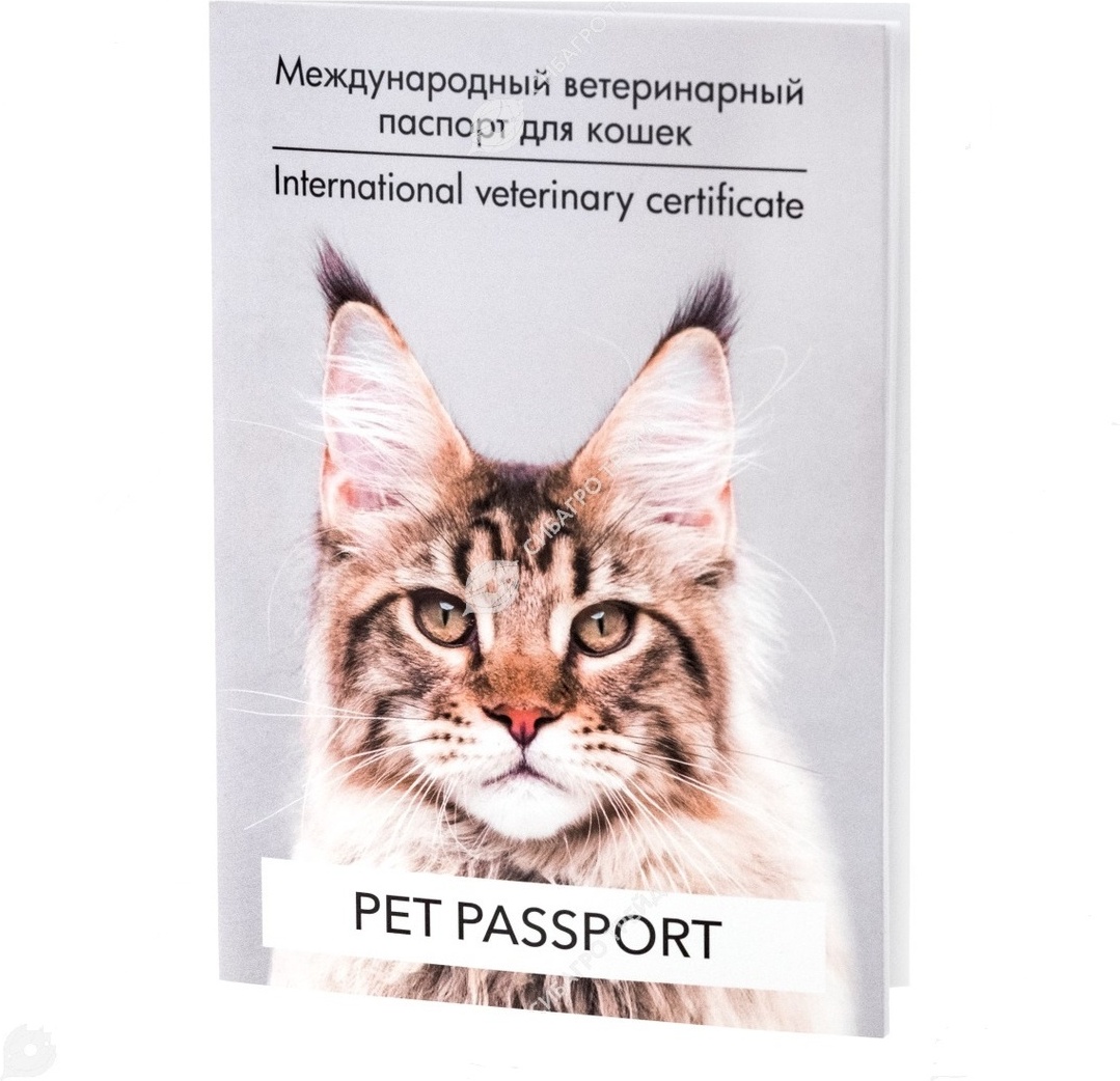 Ветеринарный паспорт