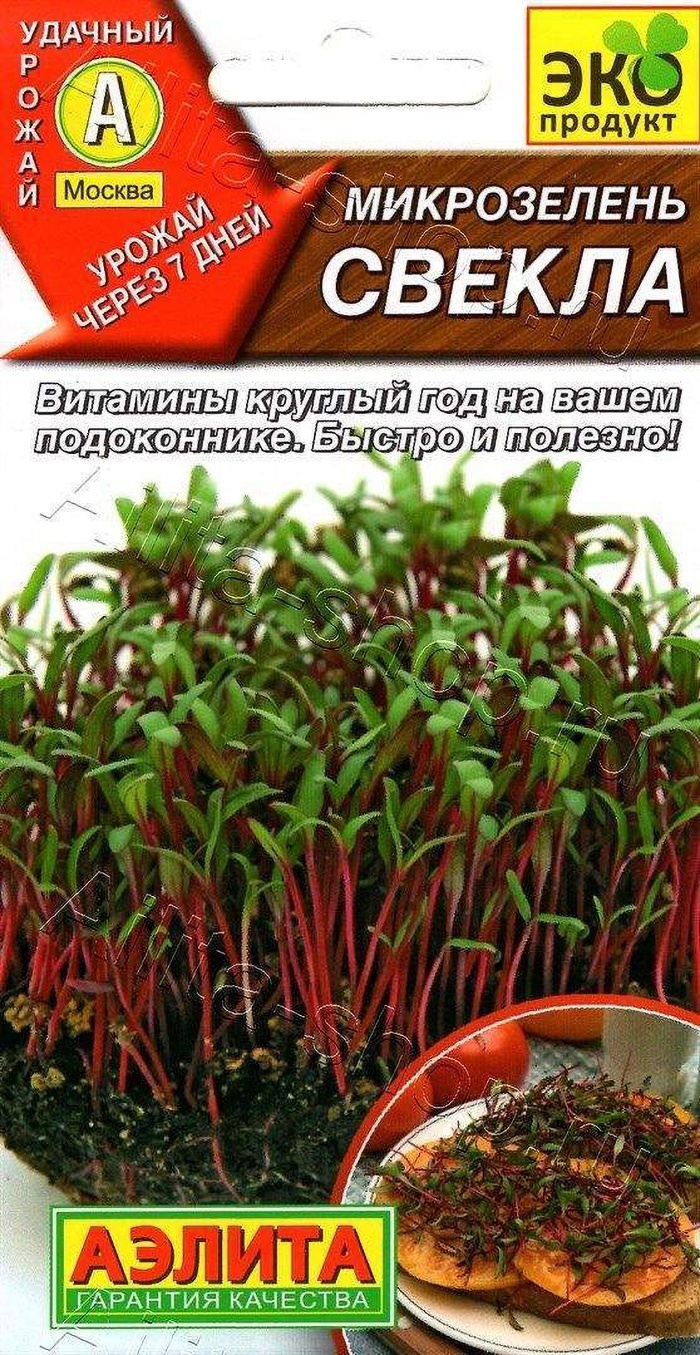 Аэлита микрозелень Свекла