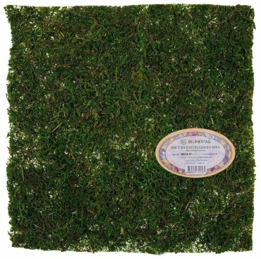 Blumentag 25790965922