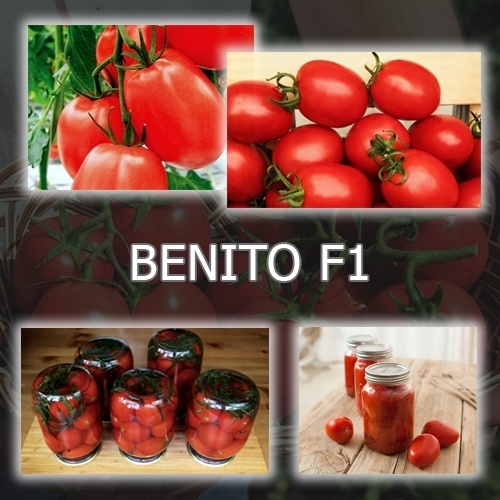 Фото 3
