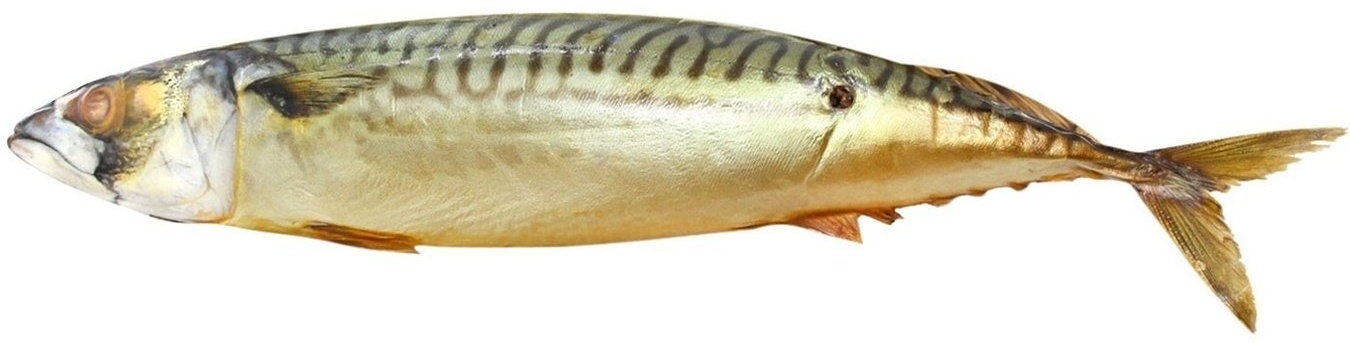 Fishdream тушка скумбрия холодного копчения 360 г