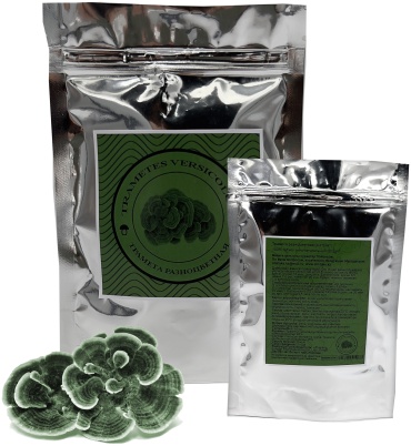 Трамета разноцветная (Trametes versicolor extract) порошок 60 мл