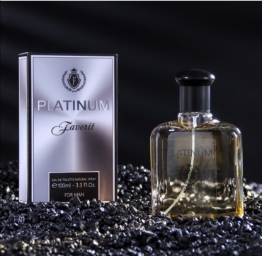 Today Parfum Favorit Platinum туалетная вода EDT 100 мл, для мужчин