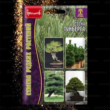 Григорьев смесь цветов Сосна Тунберга (Pinus thunbergii)