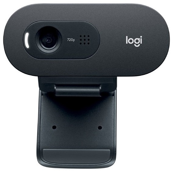 Веб-камера Logitech C505e черный
