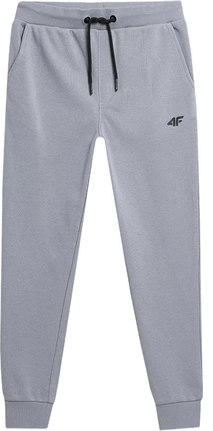 Спортивные брюки 4F голубой