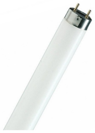 Osram 18W G13, люминесцентная, холодный белый