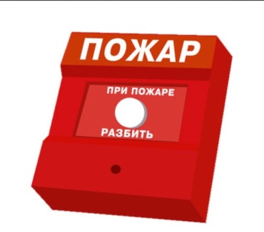 Пожарная система Bolid ИПР 513-3А
