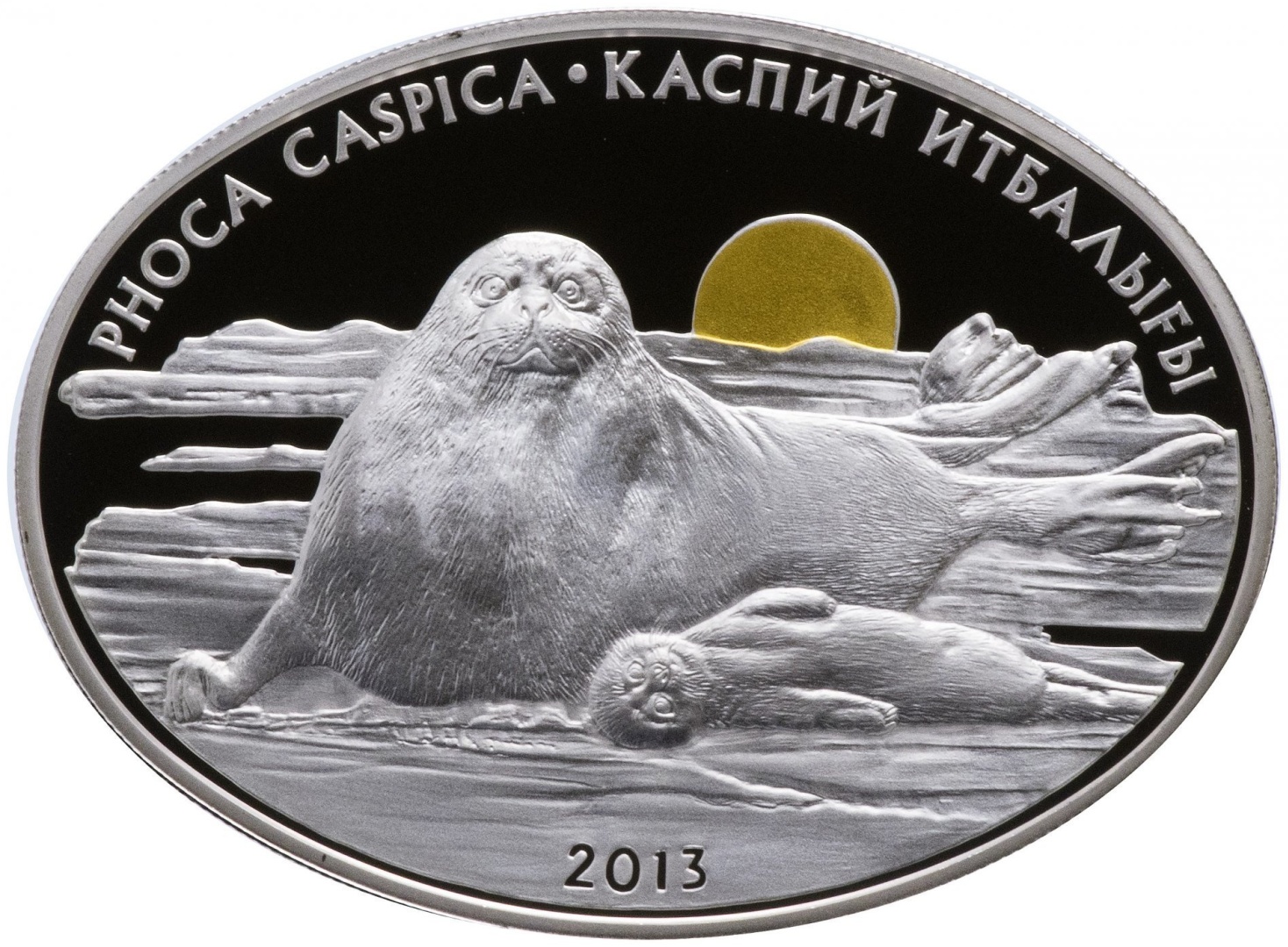 Монета сувенирная Каспийский тюлень 1 шт