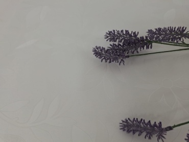 Фото 6