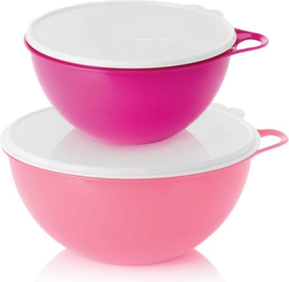 Миска Tupperware Милиан 31х31 см, пластик, 2 шт