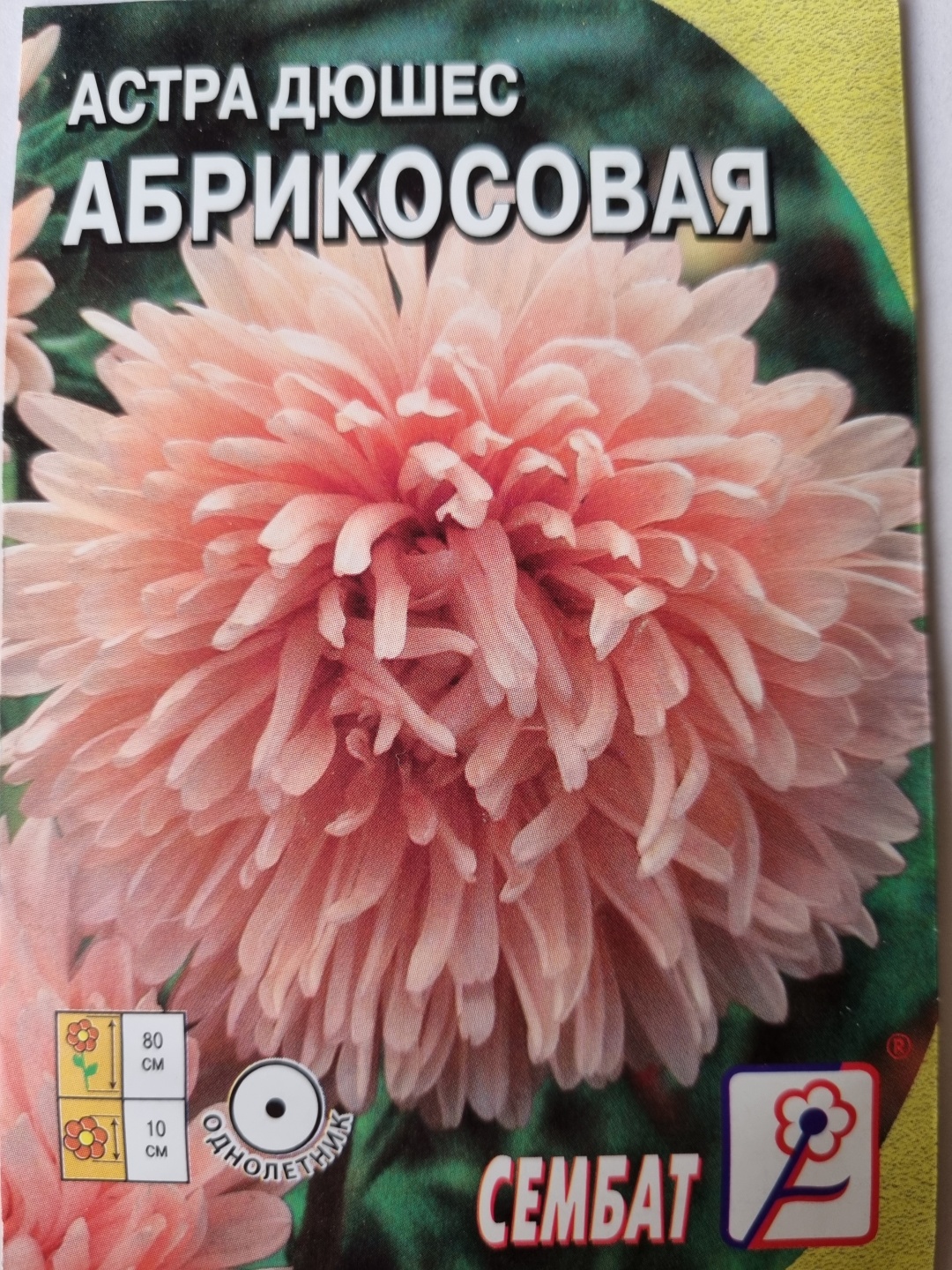 Сембат астра Абрикосовая