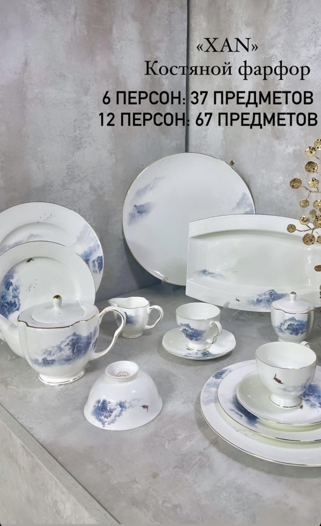 Сервиз на 12 персон , предметов: 67, чайно-столовый, костяной фарфор