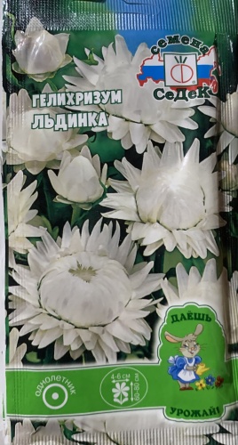 СеДеК гелихризум Льдинка