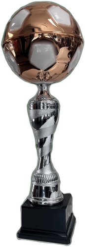 Кубок Charly Sport