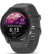 Смарт-часы Garmin Forerunner 255 46 мм серый-серый