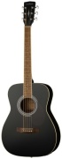 Гитара акустическая Parkwood PF51E-WBAG-BKS черный