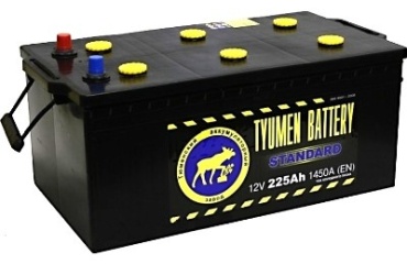 Tyumen Standard 6CT-225Ah +/-