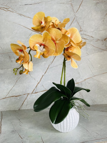 Фото 4
